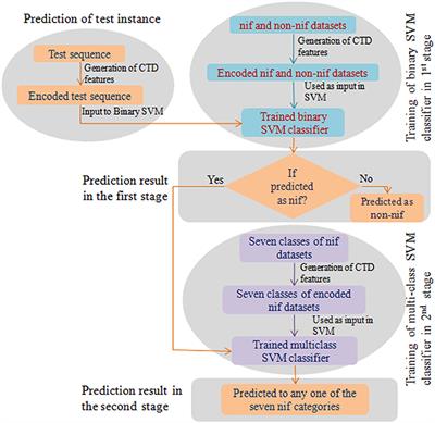 nifPred: Proteome-Wide Identification and Categorization of Nitrogen-Fixation Proteins of Diaztrophs Based on Composition-Transition-Distribution Features Using Support Vector Machine